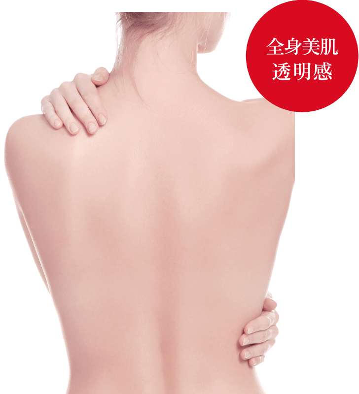 全身美肌透明感