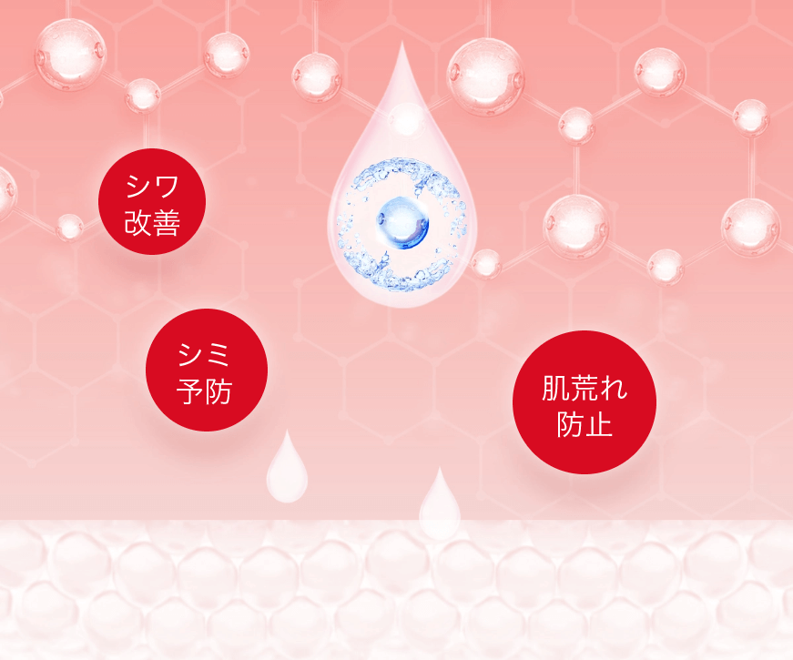 シワ改善 シミ 予防 肌荒れ 防止