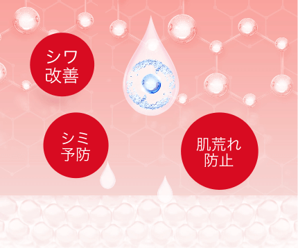 シワ改善 シミ 予防 肌荒れ 防止